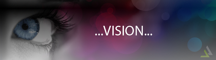 Vision